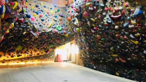 東京都のクライミング施設「Rhino and Bird（ライノアンドバード）」